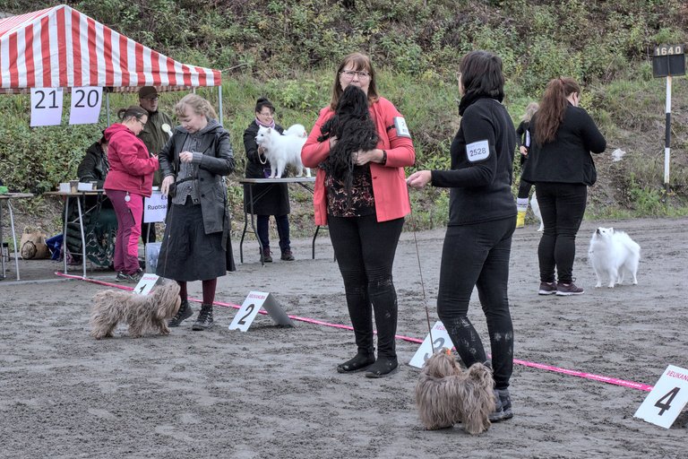 jokimaa_dog_show_07.jpg