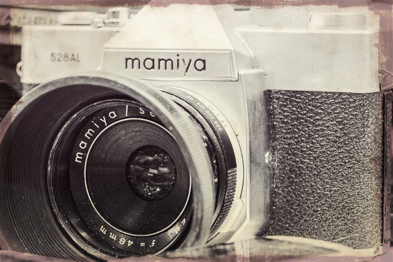 mamiya_filter_14_.jpg