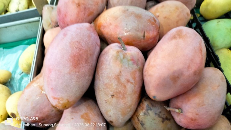 The colorful mango