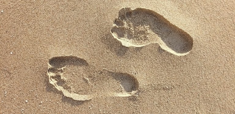 footprint_6u.jpg