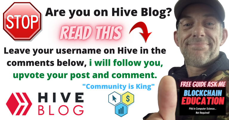 hive_blog.png