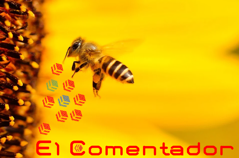 logo_el_comentador_2022.png