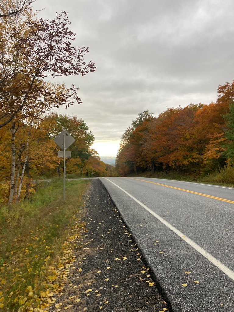 Fall Road