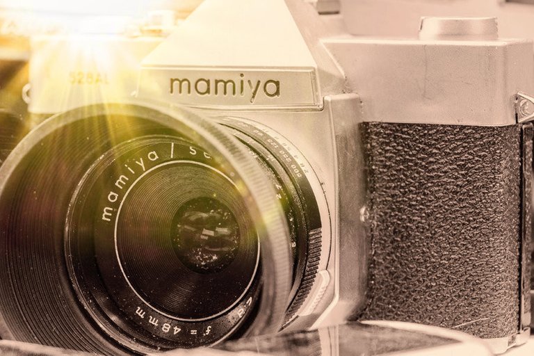 mamiya_filter_27_.jpg