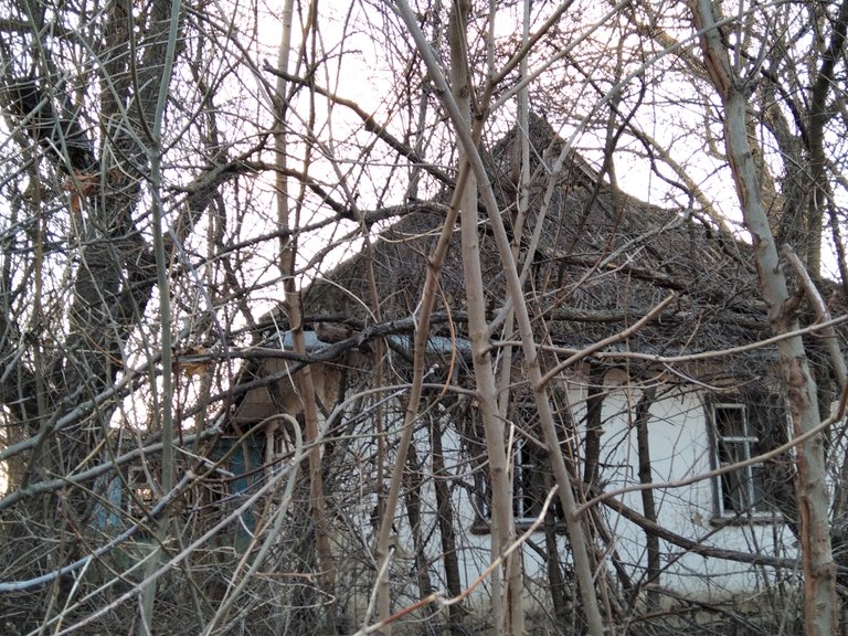 img_20220318_172907.jpeg