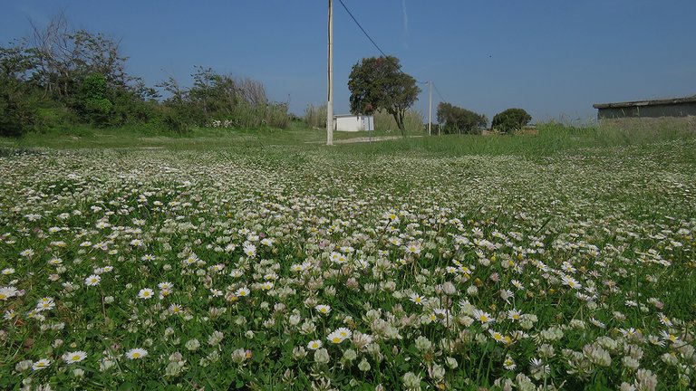 img_8482_malo.jpg