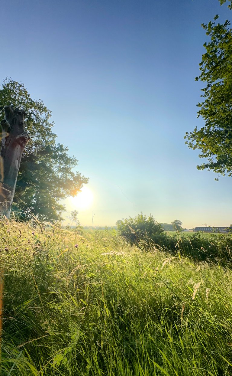 How I Outsmarted the Office Chair and Walked 12km on a Wednesday #WednesdayWalk
