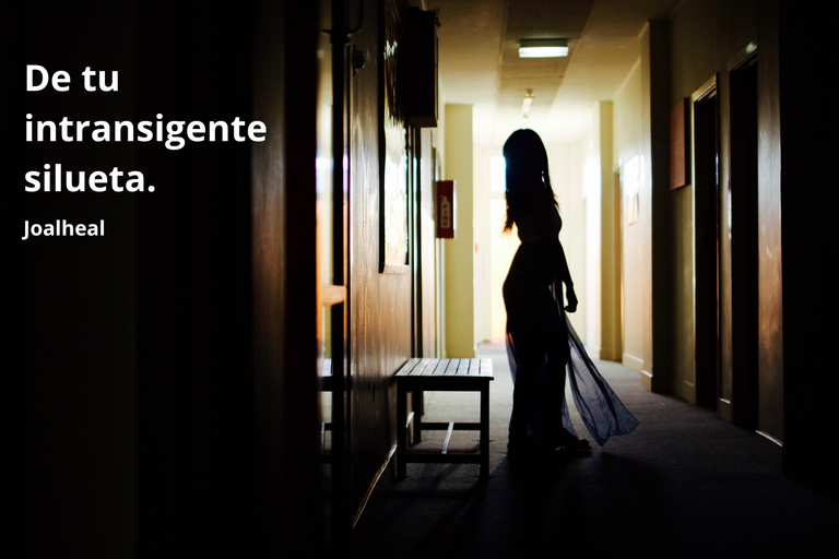 De tu intransigente silueta