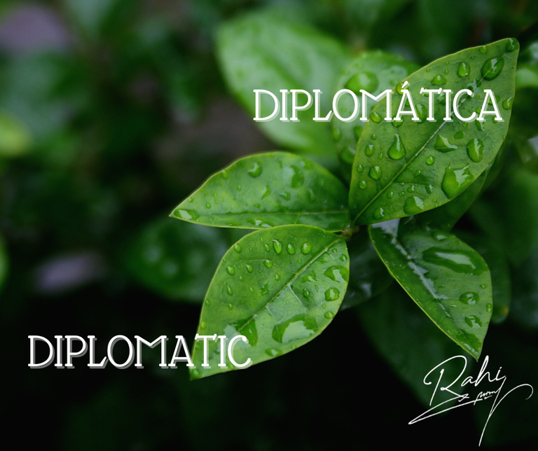 [ESP - ENG] Cultivando una actitud # 6 – Diplomática / Planting an attitude # 6 – Diplomatic.