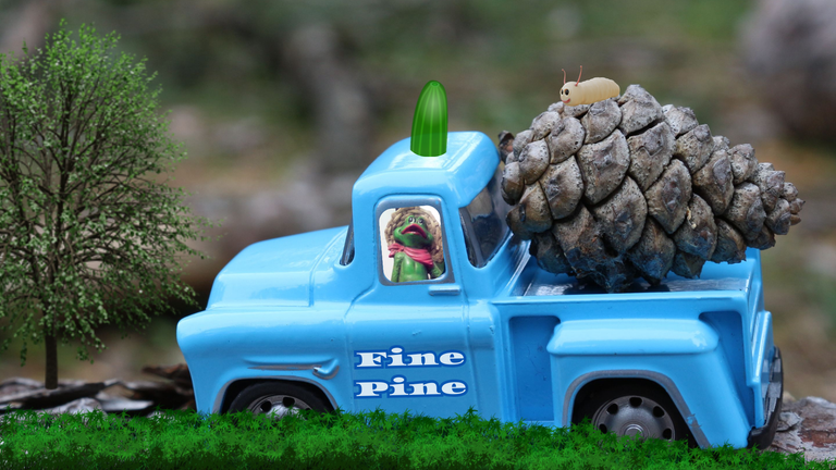 Fine Pine Delivery