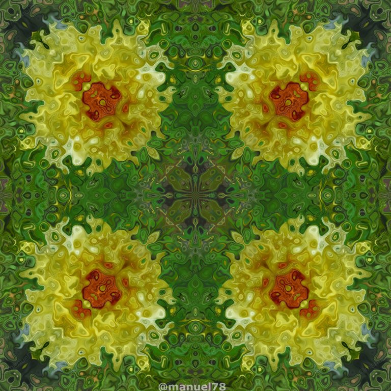 imgonline_com_ua_kaleidoscope_xmt3gys5ge.jpg