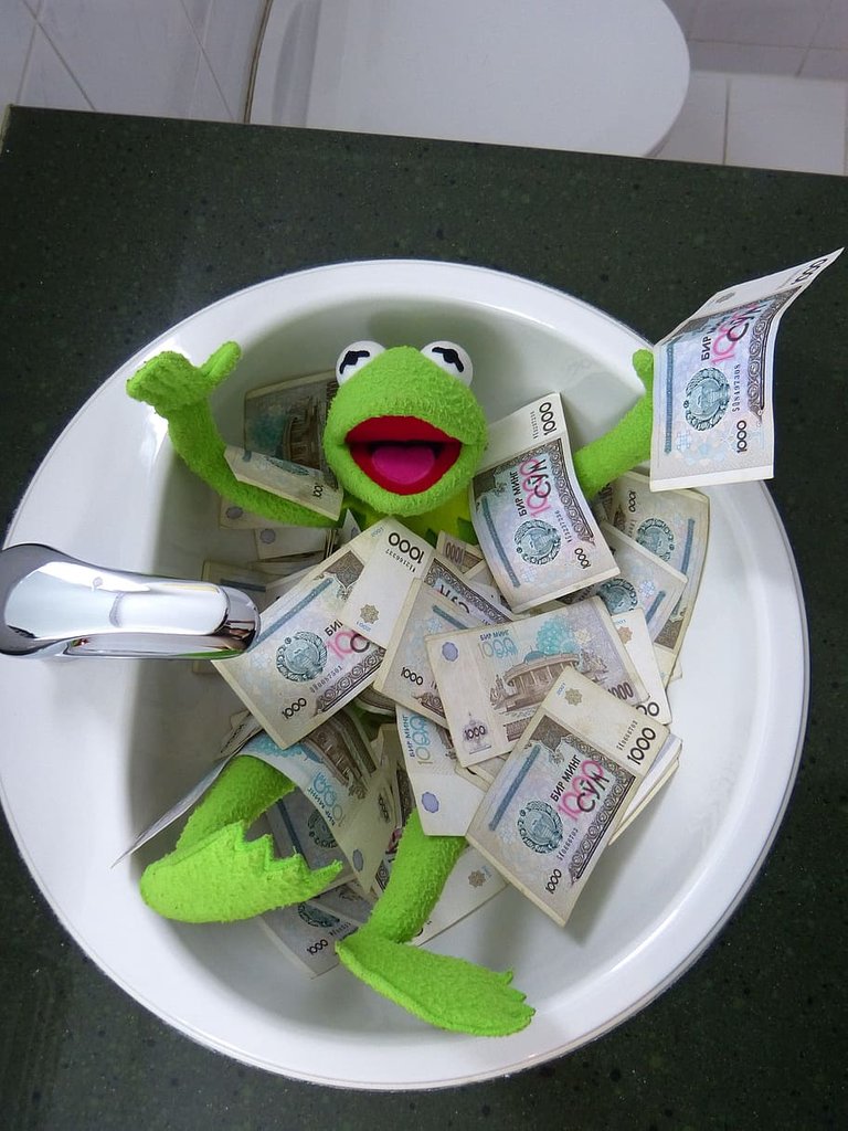 kermit_frog_money_swim.jpg