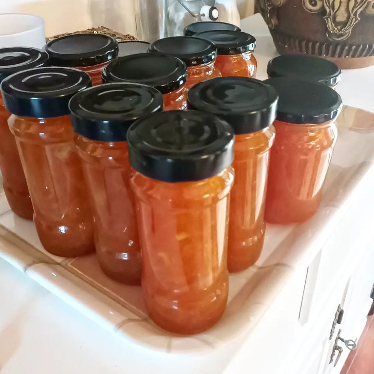 Grapefruit marmalade waiting for labels