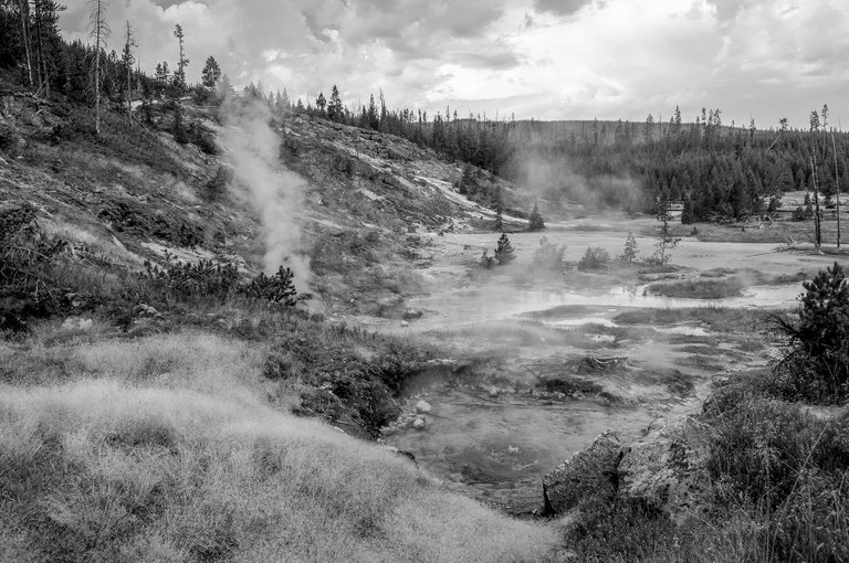 new_bw_yellowstone_6.jpg