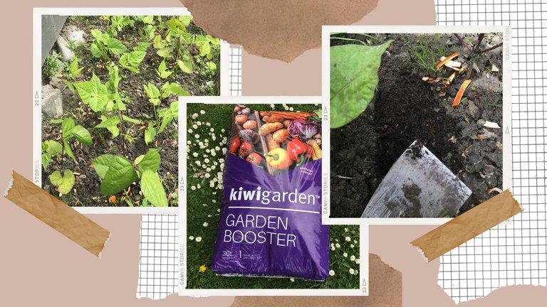 brown_ripped_paper_gardening_photo_collage_instagram_post.jpg