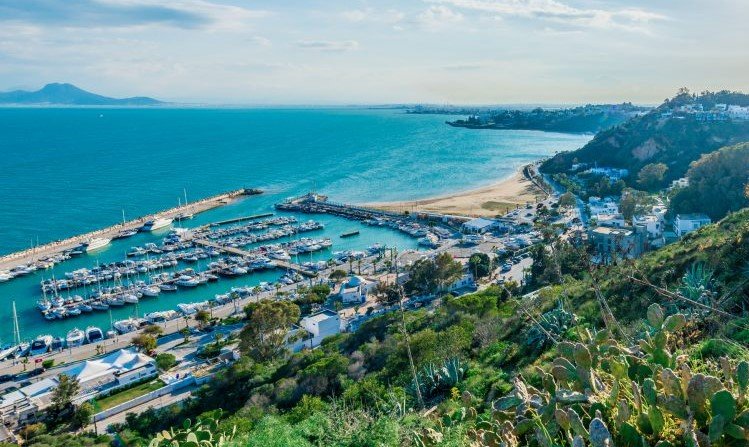 sidi_bou_said_anibal_trejo_1_768x513.jpg