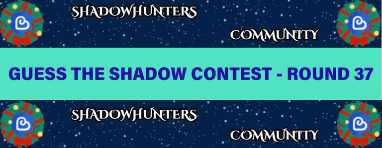 👉 Guess The Shadow Contest - Round 37