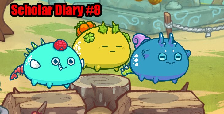 diary_edit8.jpg