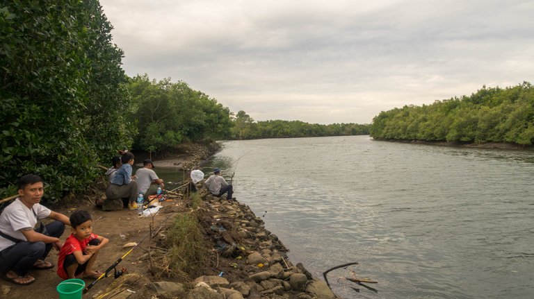 mangrove_walk_12