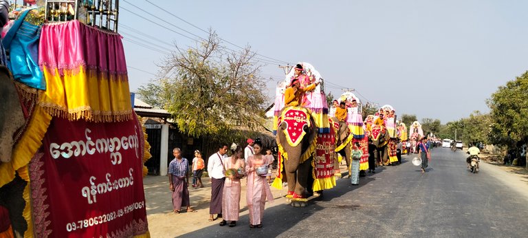 Feeding Bananas at Charity Parade, Seasonal Activities on dCrops and Progress on Terracorehub 