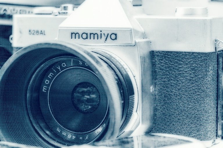 mamiya_filter_12_.jpg