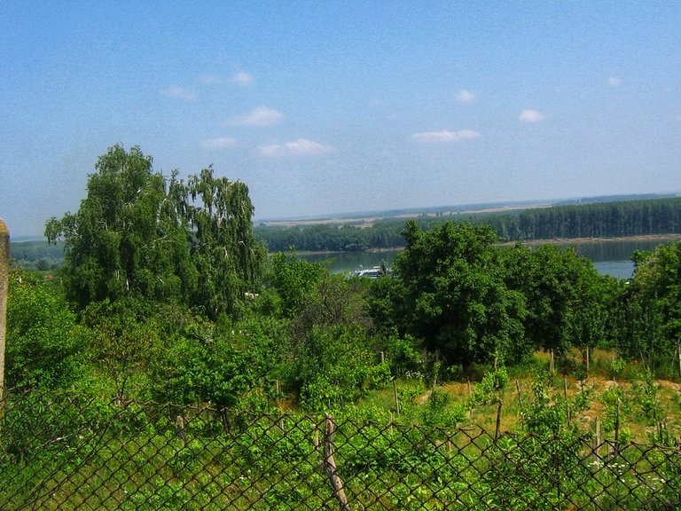 vidin2009_065_01.jpeg