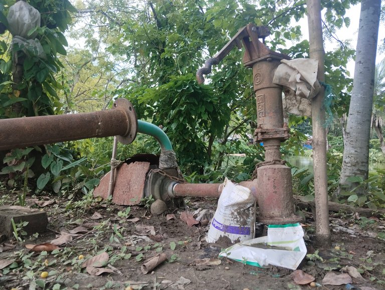 Water Pump: Science and My Own Experience.