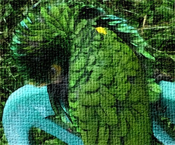 parrots_digitalart4.jpg