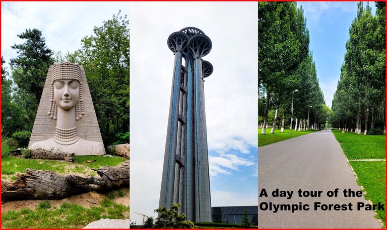 Olympic Forest Park: An unexpected wild nature in the heart of the Beijing City