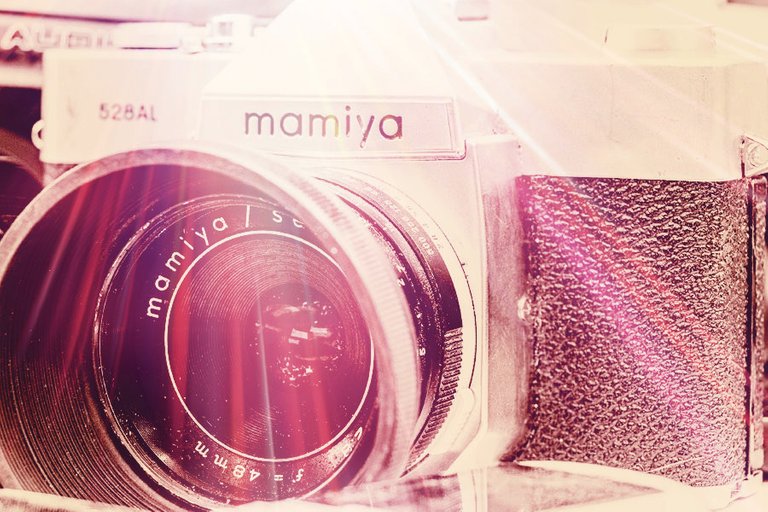 mamiya_filter_26_.jpg