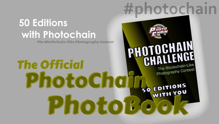 photochainebookpostcover.jpg