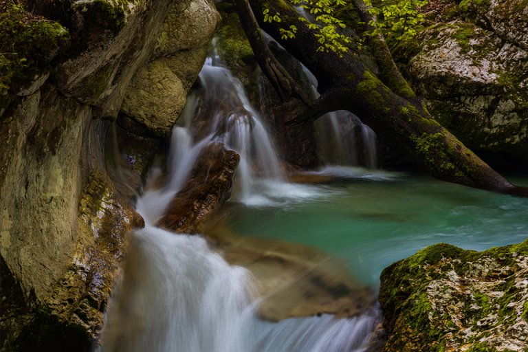 Intimate Landscape Photography - Sunik Water Grove, Slovenia