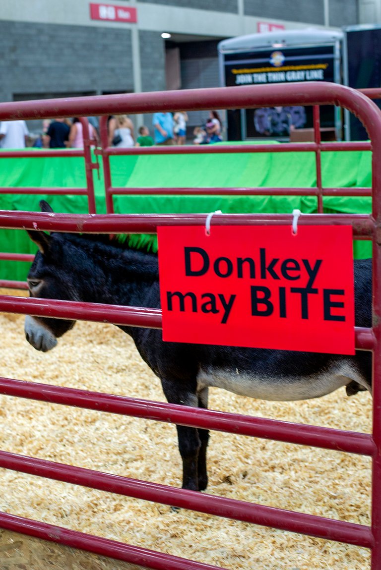 donkey_may_bite.jpg