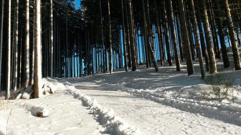 img_20150208_wa0017.jpg