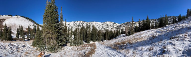 Trail pano