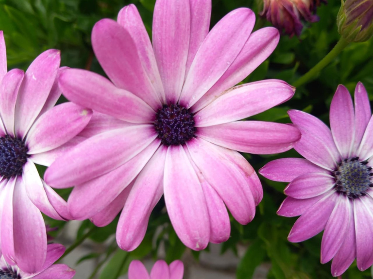 Colors of Life Photography Contest Round 9 : Winners Announcement