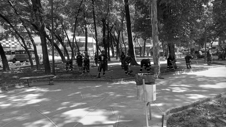📸 PhotoFeed Contest - Black & White Photography Round 131. Gardening crew. EN/ESP.