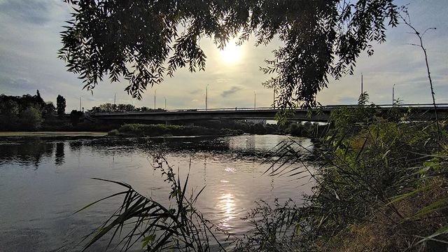 Nature around the town