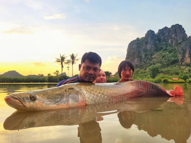 fish_1d.jpeg