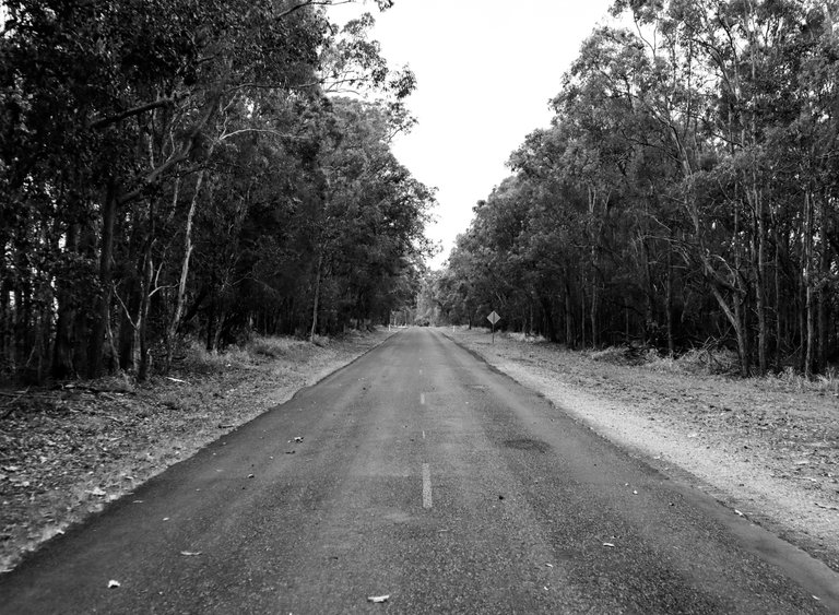 empty_and_lonely_road_on_bvlack_and_white.jpg