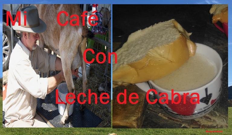 imagen.png