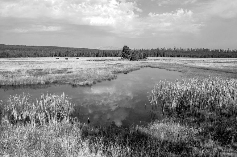 new_bw_yellowstone_4.jpg