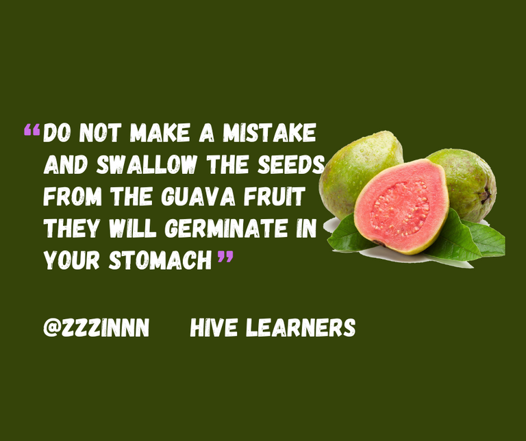 Don’t eat the seeds of the guava fruit they will germinate in your stomach 