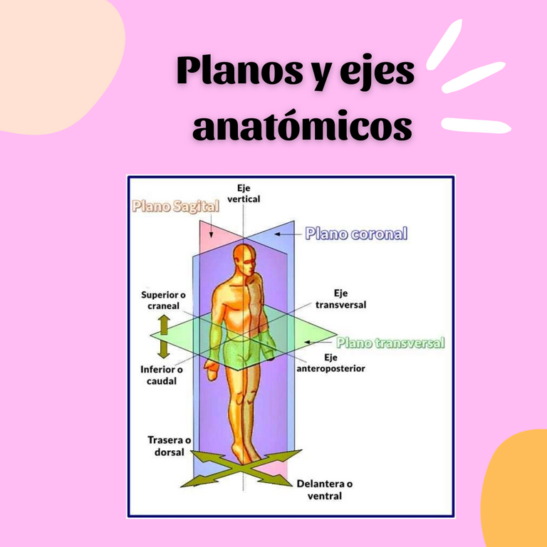 planos_y_ejes_