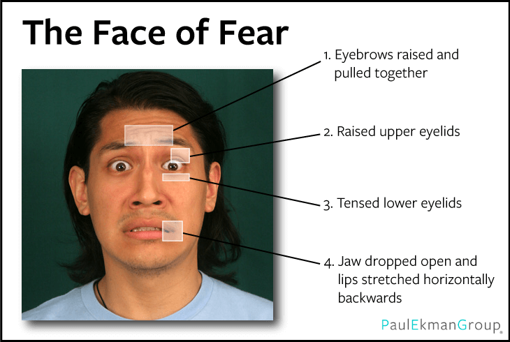 faceoffear.png