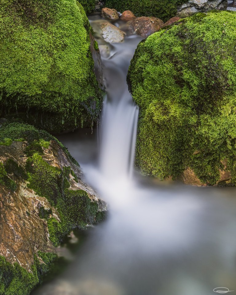 Time and the flow of the Water