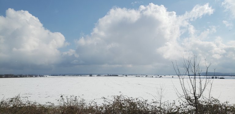 20220312_100910.jpg