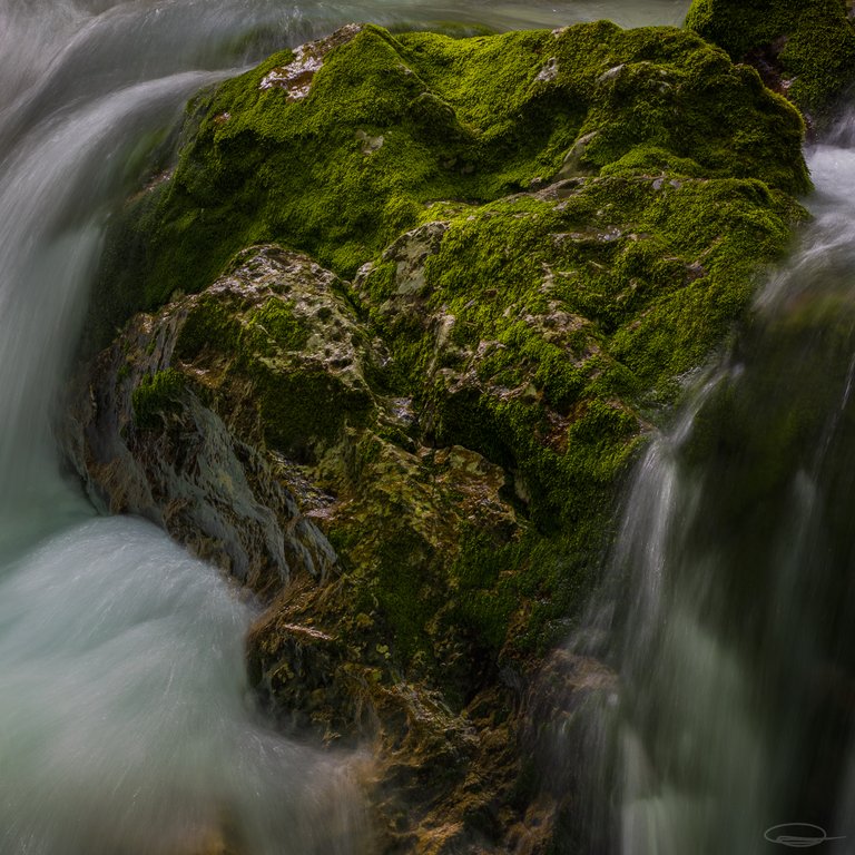 Intimate Landscape Photography - Sunikov Vodni Gaj - Sunik Water Grove, Slovenia