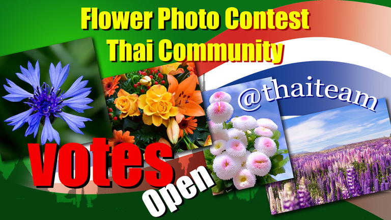 flower_photography_votes_n5.png