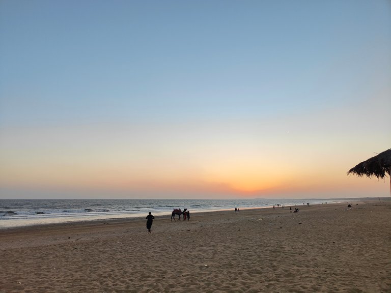 The magic of mandvi beach — Hive